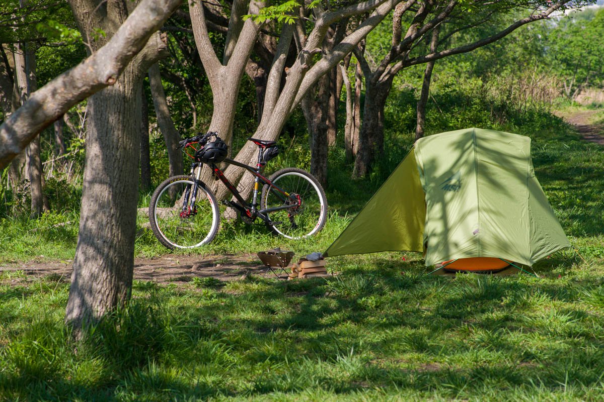 🏞️ 그린파크 오모이데노모리 (Green Park Omoide-no-Mori) 이미지 4